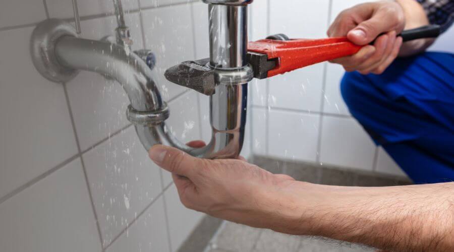 Professional Leak Detection services in Newbern, AL